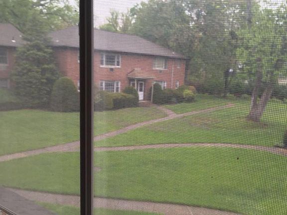 Living room view