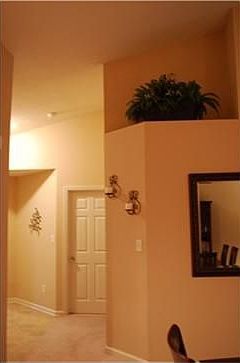 3rd image of 12227 Black Hills Dr