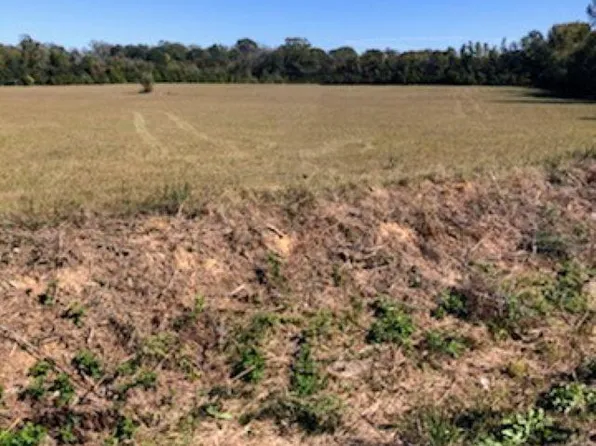 23710 Jacocks Rd, Slaughter, LA 70777