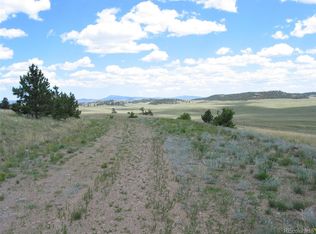 102 Rein Way #61, Hartsel, CO 80449