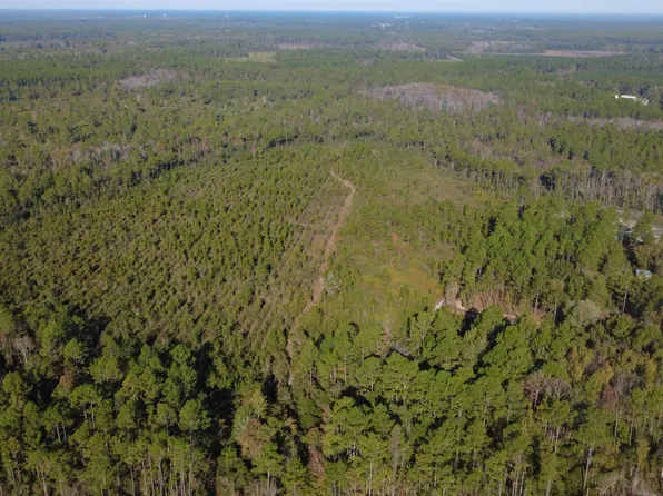 0 Fargo Hwy, Homerville, GA 31634