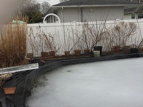 3rd image of 155 Wright Ave