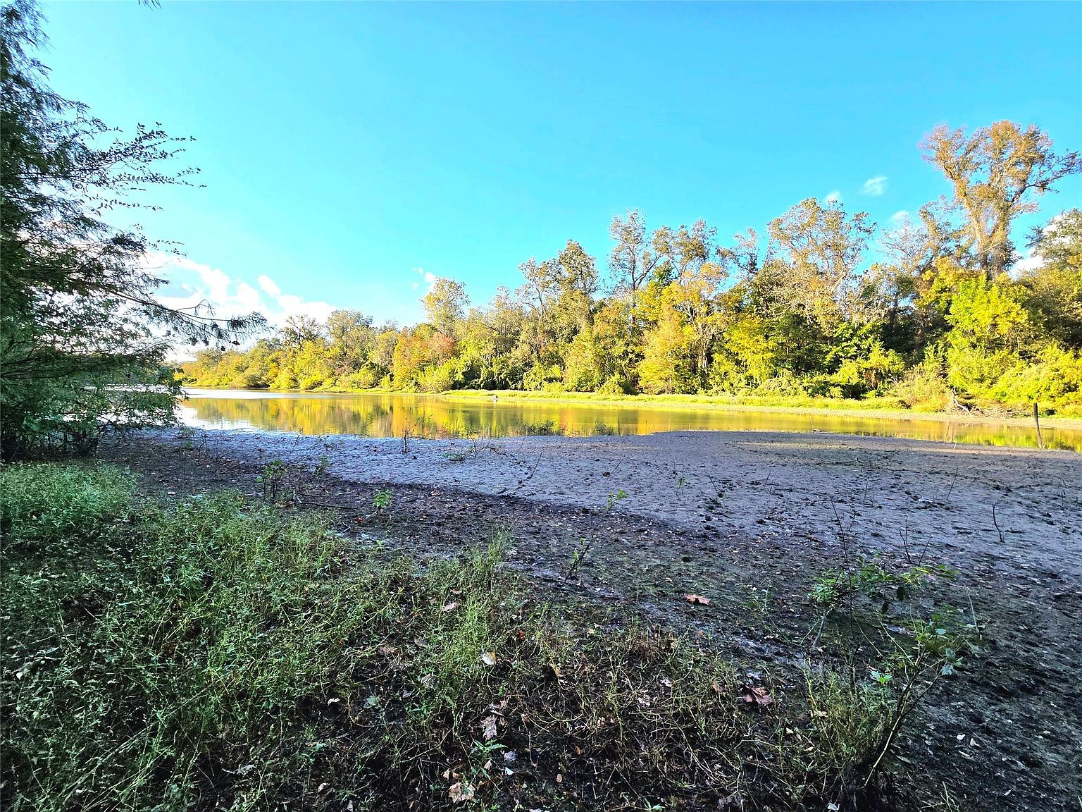 2167 County Rd, Cleveland, TX 77327 | MLS #50589348 | Zillow