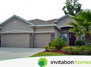 1414 Brilliant Cut Way, Valrico, FL 33594