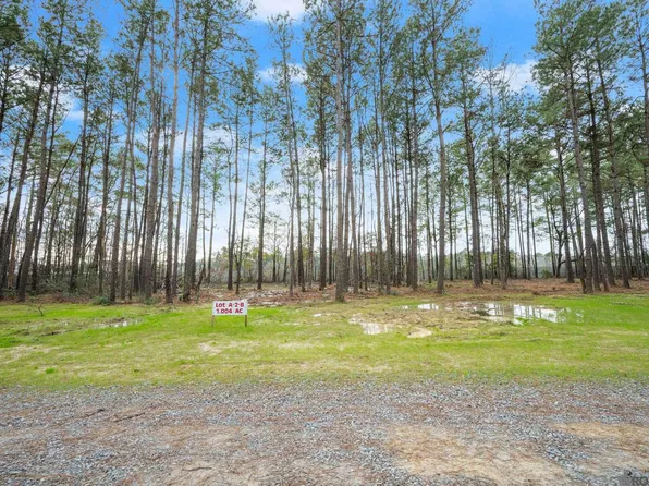 A 2 B Nona Hancock Ln, Greenwell Springs, LA 70739