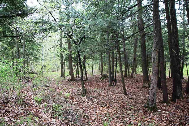 3rd image of VANDERWERKEN Road