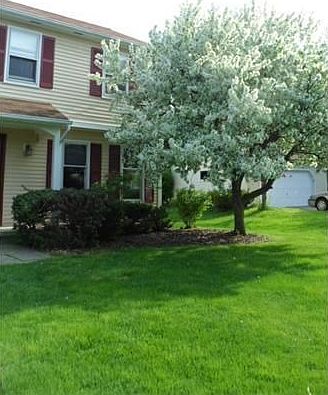 2nd image of 6 Simsbury Ln