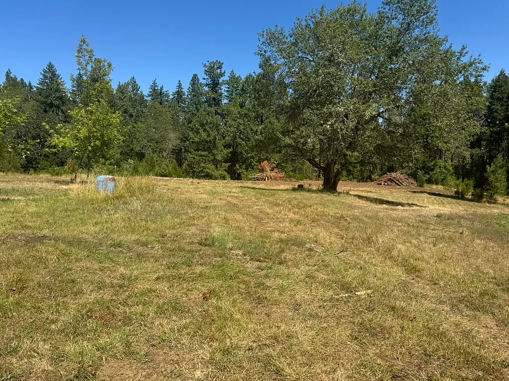 Harry Taylor Rd, Eugene — Photo 3