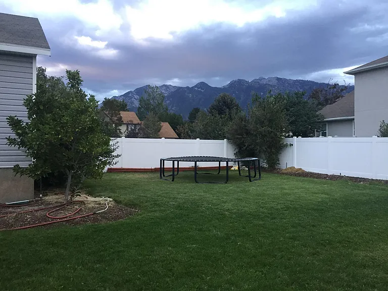back yard/side yard