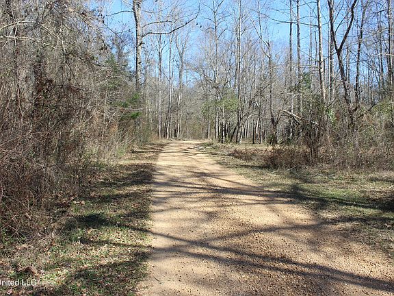 3rd image of 2194 Brandi Rd