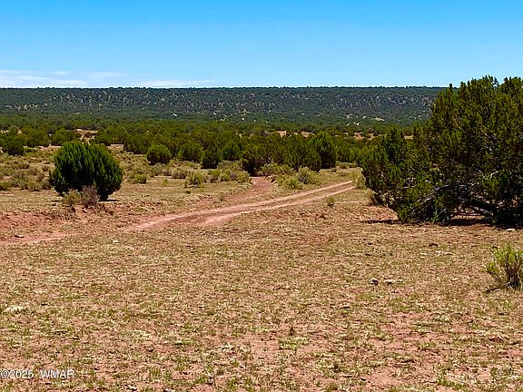 3rd image of 9780 Texas Ln