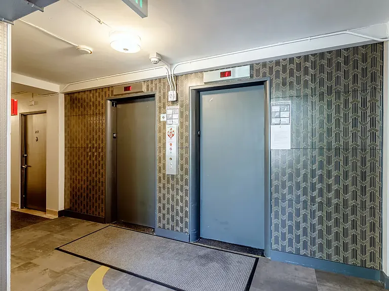Camellia Apartments — Photo 20
