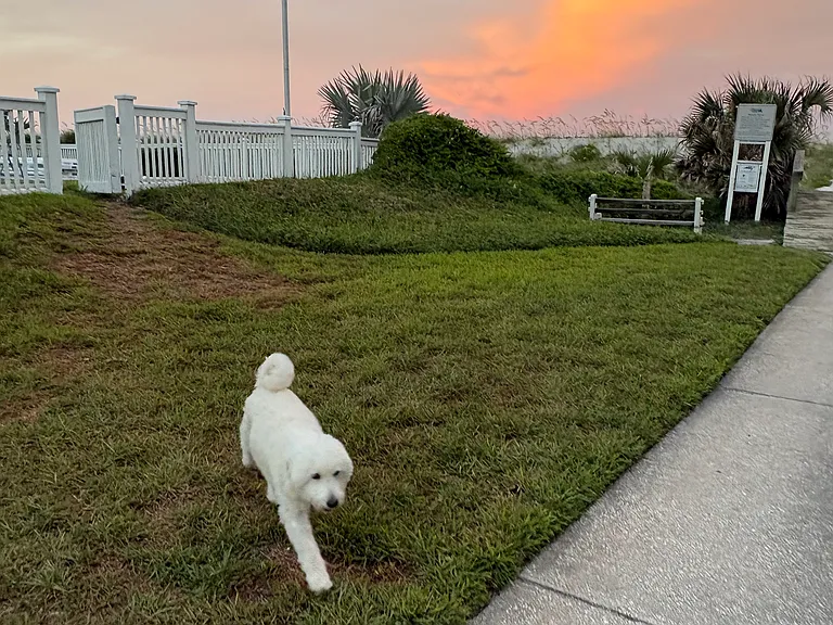 1200 Ocean Front — Photo 1