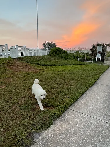 1200 Ocean Front Photo 1