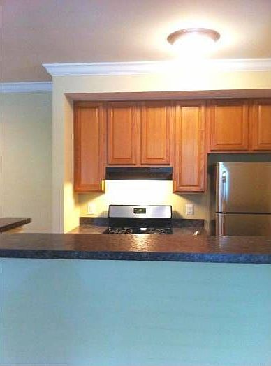 Upgraded Kitchen View 2