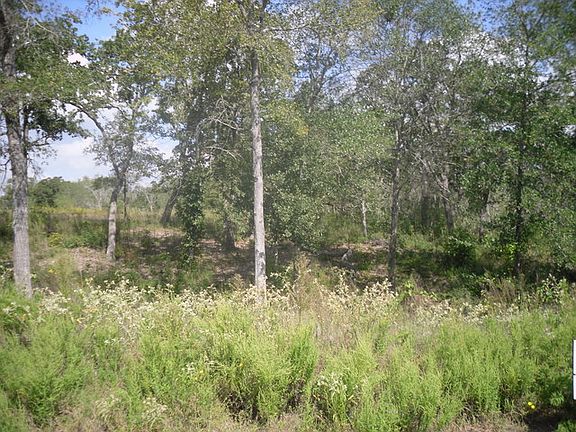 2nd image of 4827 Williams Creek Dr