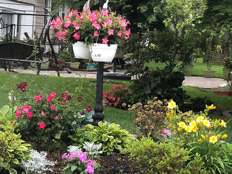 Beautiful Garden