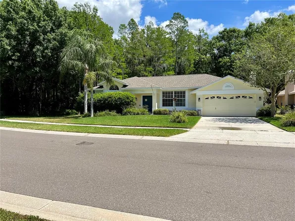 1115 Mistwood Dr, Tarpon Springs, FL 34688