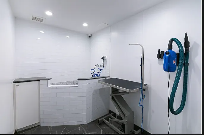125 Parkside Ave #3P — Photo 8