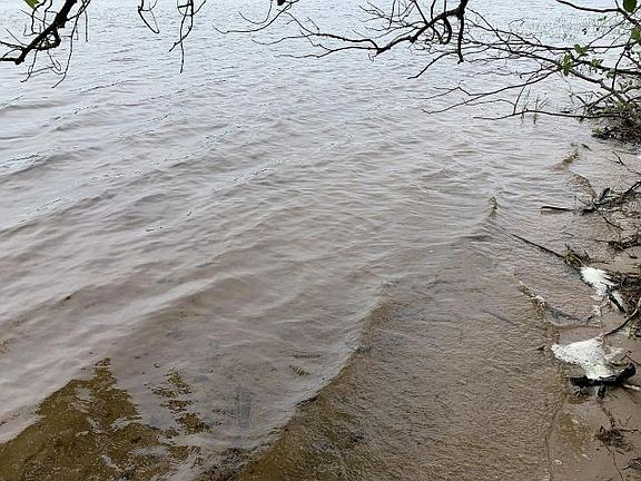 4th image of ON Shishebogama Dr