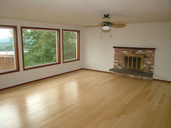 Wood Fireplace and New Windows