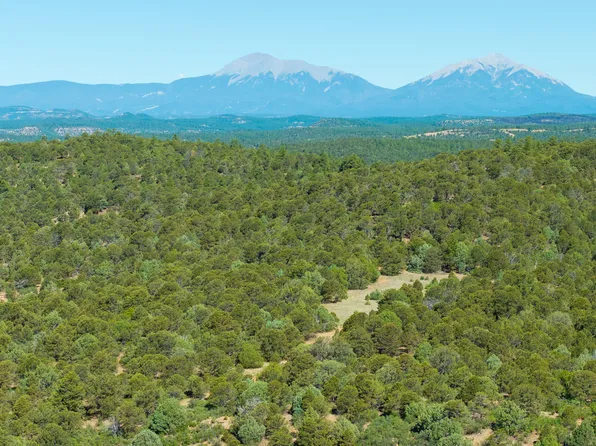 15536 Ponderosa Loop, Boncarbo, CO 81024