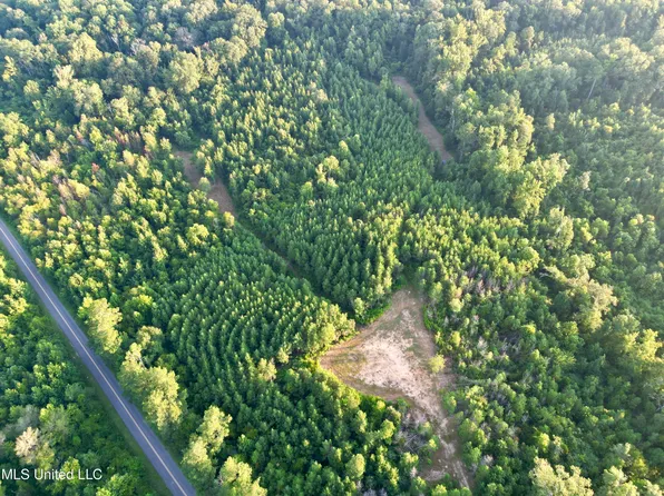 John I Hay Rd, Wesson, MS 39191