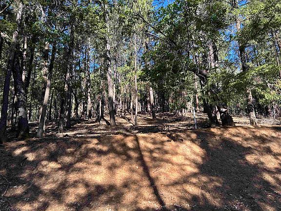 2nd image of 13417 Patterson Creek Rd