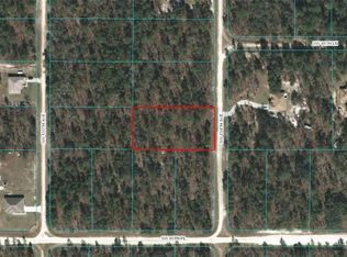 LOT 3 SW 134th Ave, Dunnellon, FL 34432