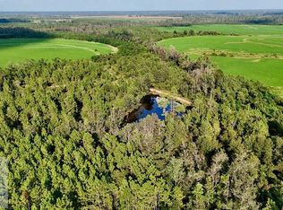 TRACT 1 Rhonda Coleman Rd, Hazlehurst, GA 31539