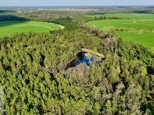 TRACT 1 Rhonda Coleman Rd, Hazlehurst, GA 31539