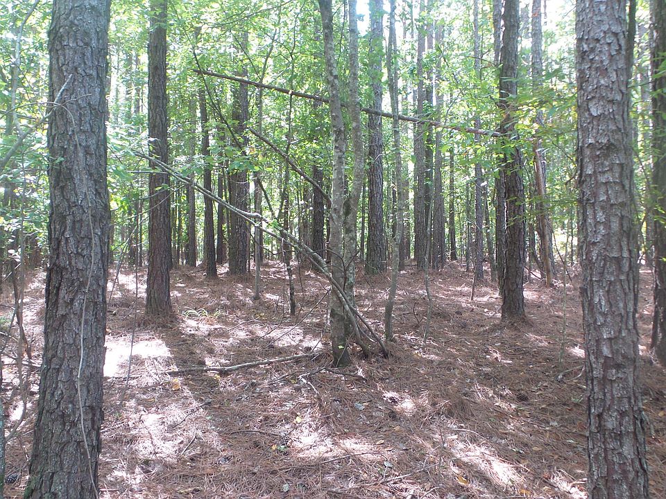 1st image of 1193 Pine Shores Cove