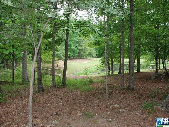 Walk through the backyard