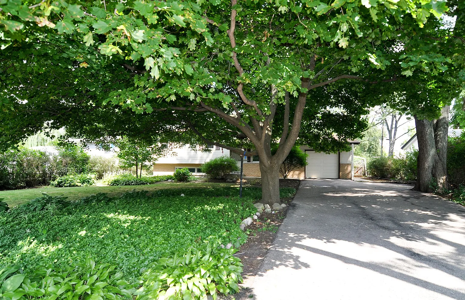 1N411 Main St photo 1