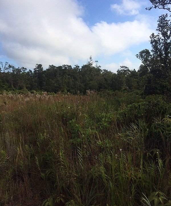 2nd image of Alaula St Lot 455