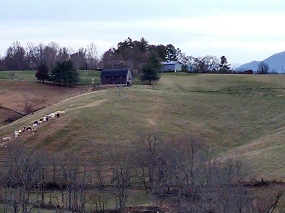 4th image of 9 Partridge Ln