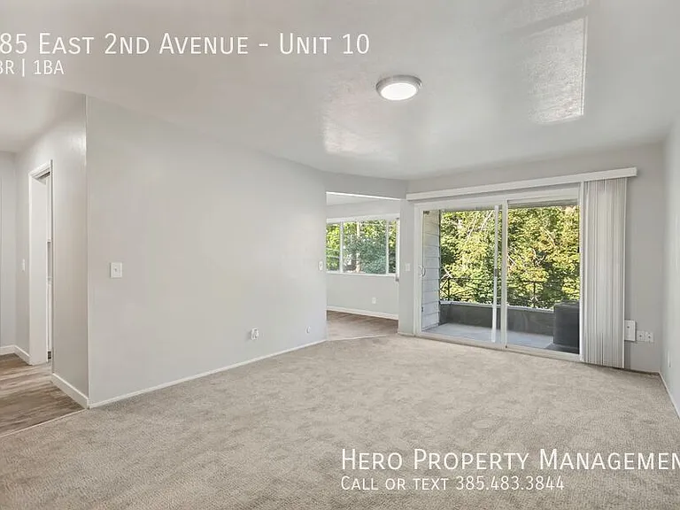 585 E 2nd Ave #10 — Photo 11