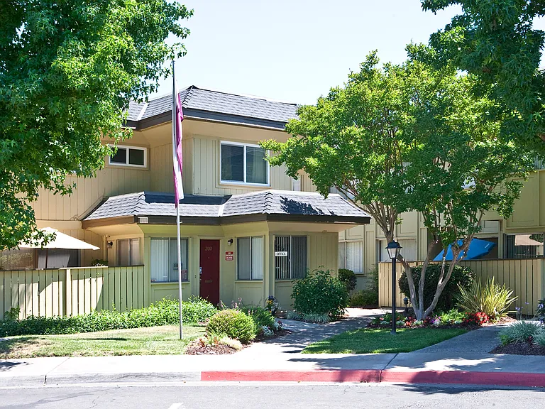 Sheila Garden — Photo 22