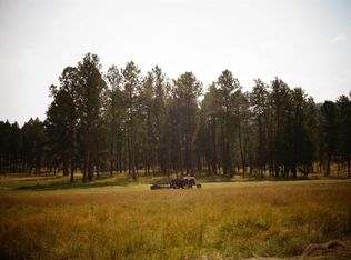 25553 Glen Erin Rd, Custer, SD 57730