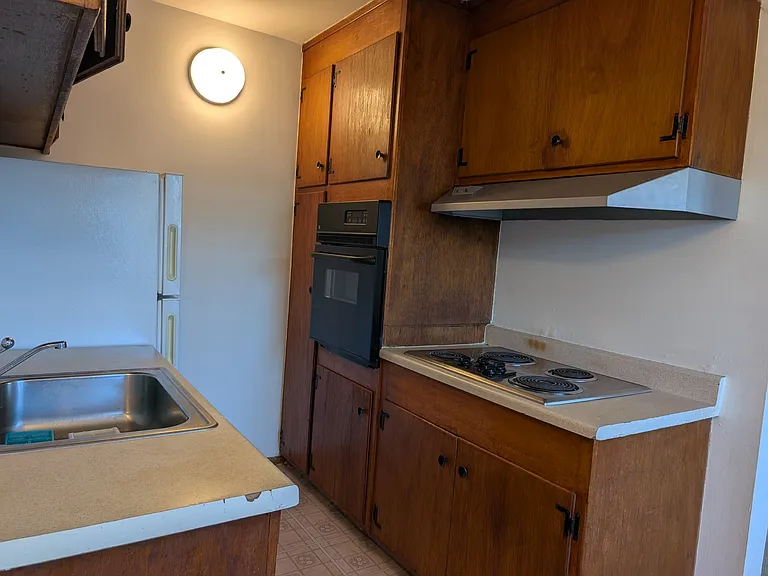 Large refrigerator, cooktop, fan, garbage disposal and plenty storage.