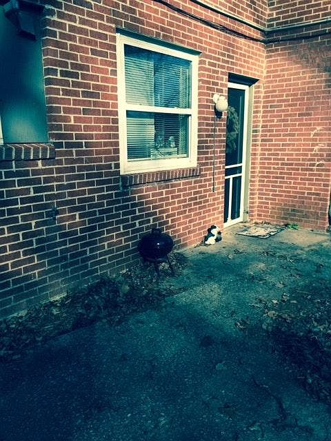 1st image of 563 Northside Dr #B