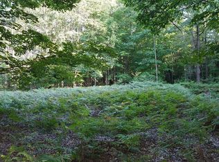 3225 W Duck Lake Rd, Whitehall, MI 49461