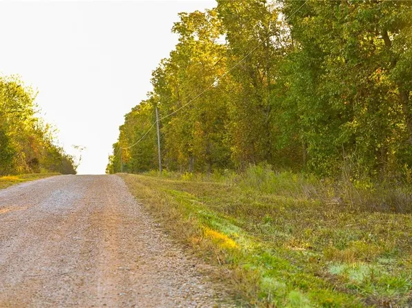 21395 S 725th Rd, Stockton, MO 65785