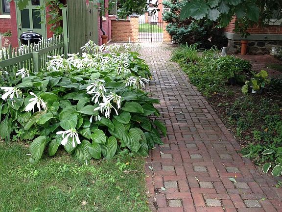 brick pathways throughout property