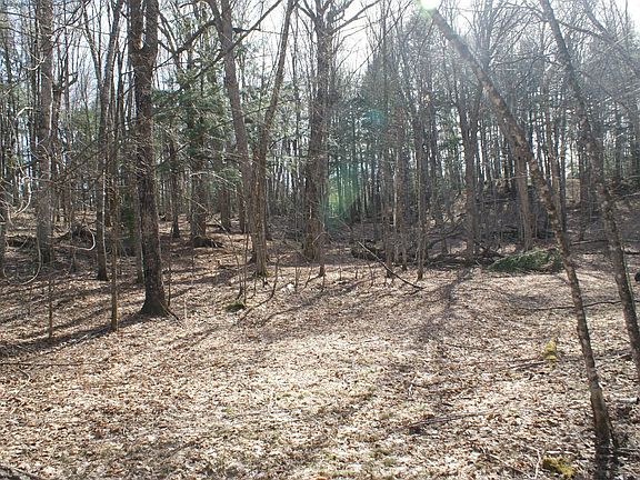 3rd image of Tall Timbers Rd