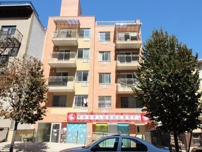 713 43rd St #3A, Brooklyn, NY, 11232
