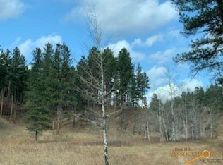 Little Tiger Ln, Hill City, SD 57745