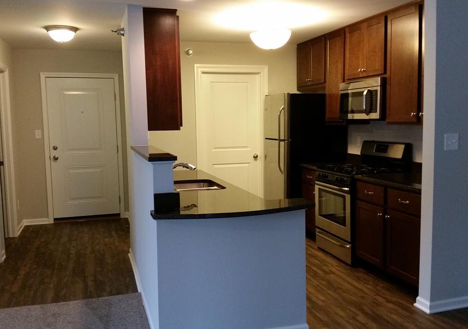 Kitchen and Entrance