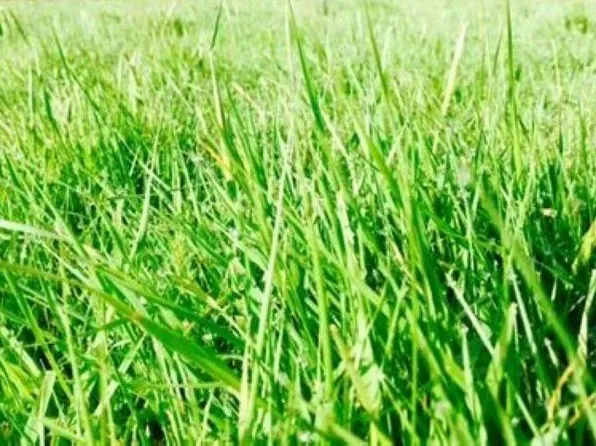 Meadows East Trce Lot 2, Marion, IN 46953
