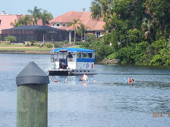 Swim with Manatees